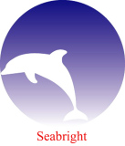 Seabright Industrial Limited