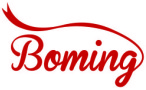 Dongguan Boming Electrical Technology Co., Ltd.