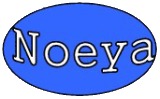 Shenzhen Noeya Technology Co., Ltd.