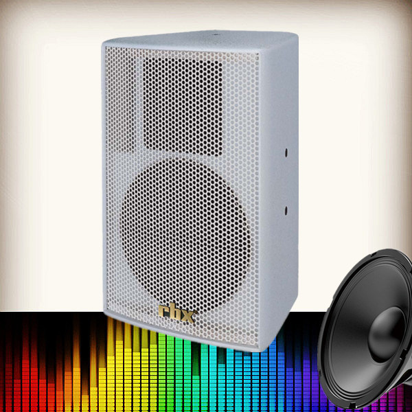 Aq-10 Single 10 Inch 2-Way Full Range 250W Speaker Magnet