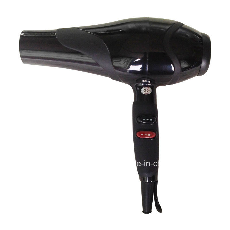 2400W Black Color Hair Dryer (DN. 8919)