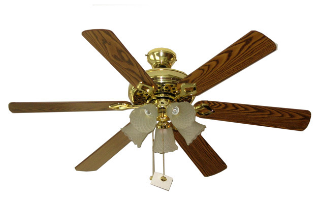 Decorate Fans (FZ52-6W5LMTDPB)