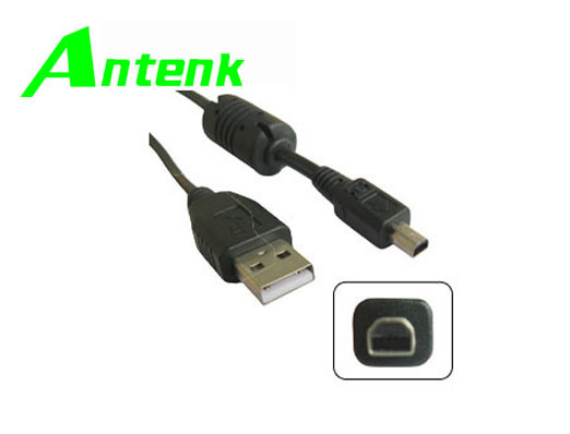 Mini USB Cable