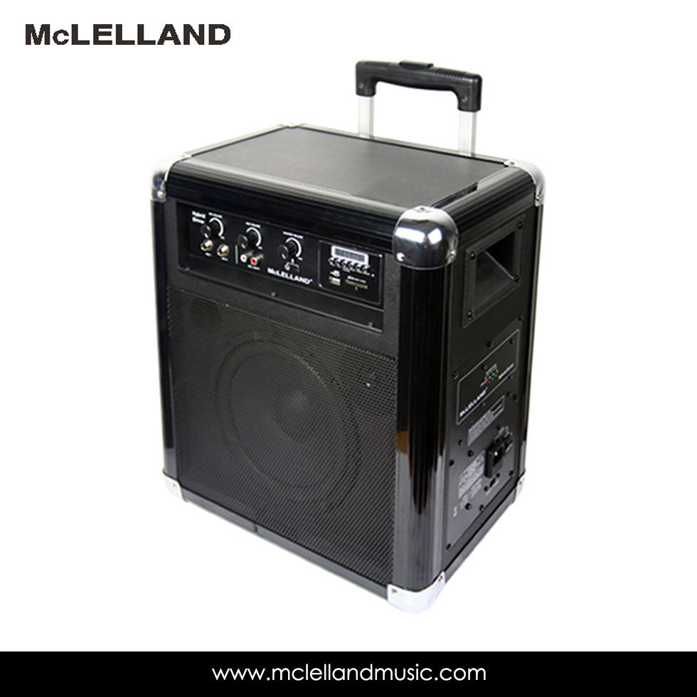 Bluetooth Portable PA System Speaker (Hybrid Driver)