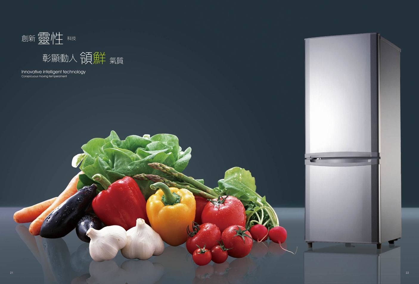 13bl Solar Refrigerator