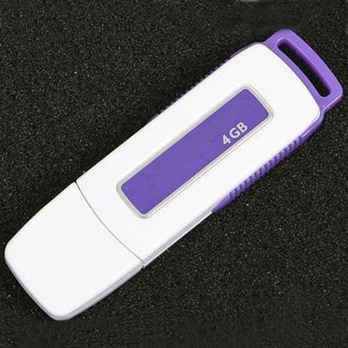 Hotsales Luxury Plastic USB Flash Drive