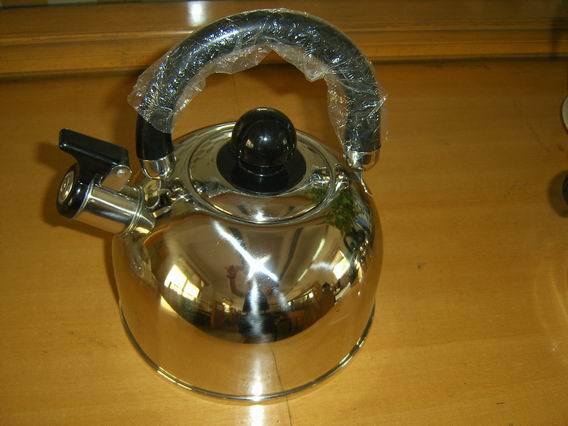 2.5L Whistle Kettle (HS5037)