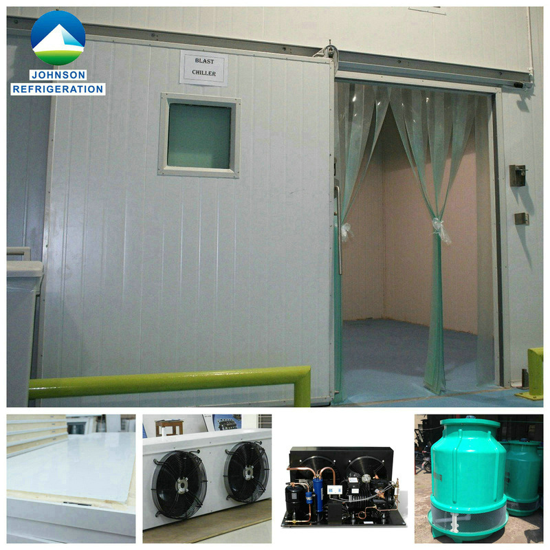 Cold Storage Refrigerator for Blast Freezer