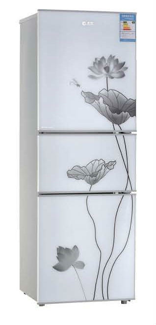 Good Sales Beauty and Fashionable Pattern 219L Refrigerator