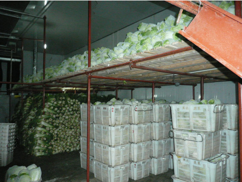 Food Standard Cold Room Cold Storage