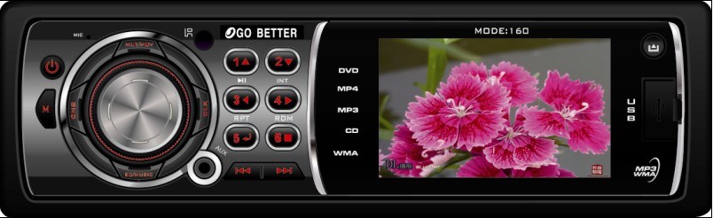 Car DVD Player (DV-160) 