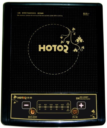 Induction Cooker