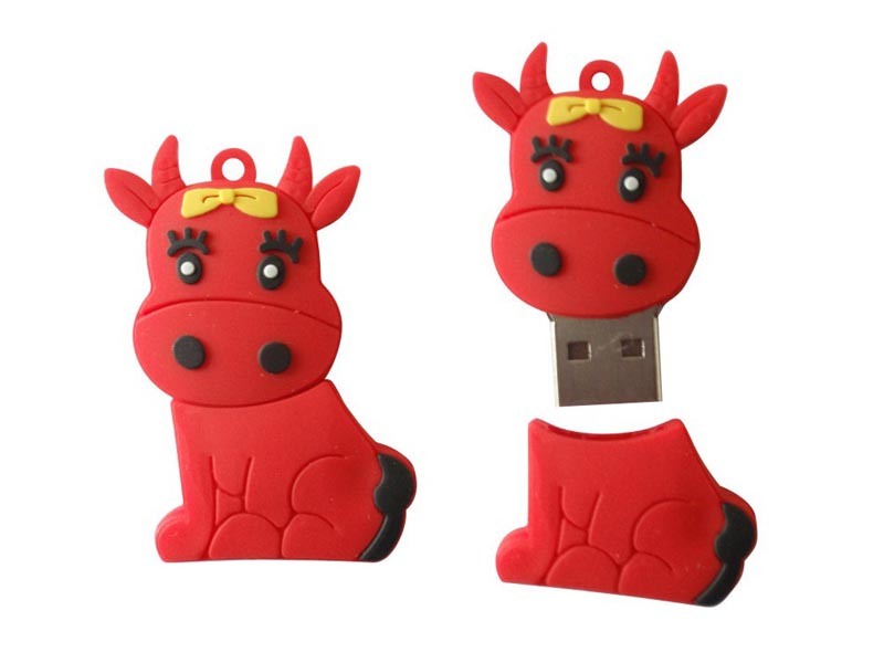 USB Flash Drive