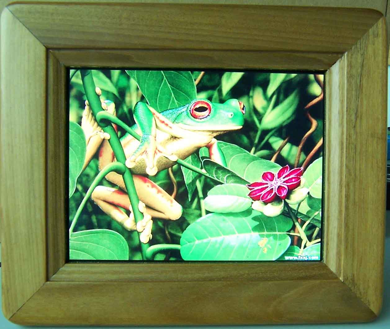 Digital Photo Frame