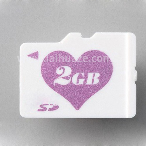 Fashionable Micro SD Memory Card OEM (DC-1028)