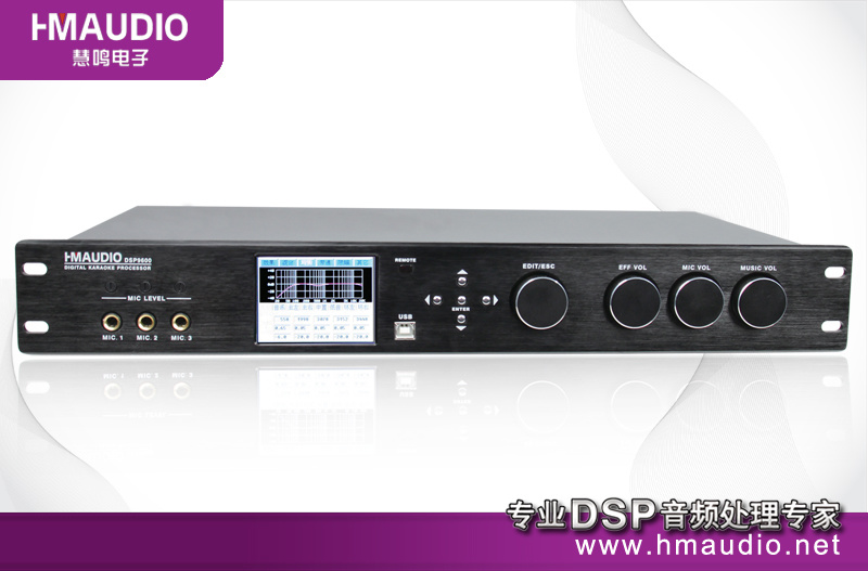 Audio Conference Processor (DSP9600)