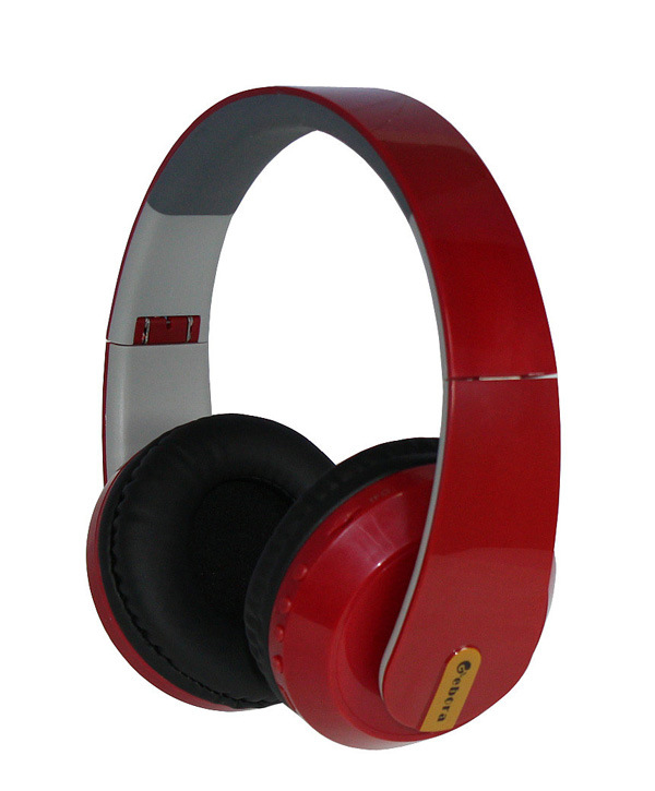 Multi Function MP3 FM Headphone with Mirco SD Card