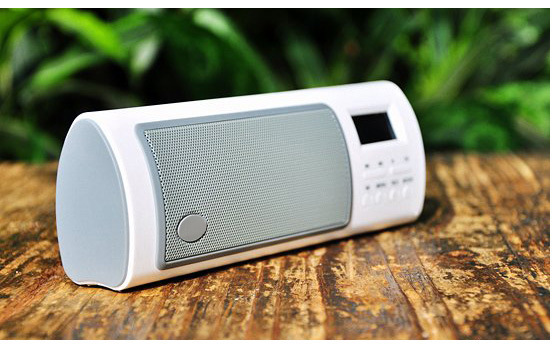 Portable Mini USB Computer Speaker (P4020)