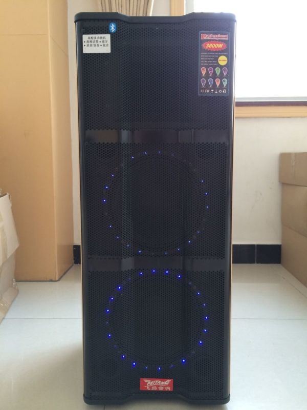 Professional Audio Protable Bluetooth DJ Speaker E230