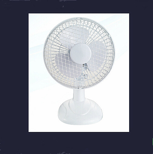 6 Inch Mini Fan