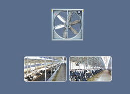 Ft-E Hanging Exhaust Fan