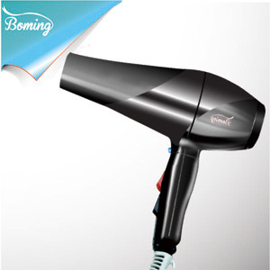 Professional Hair Dryer (1210)