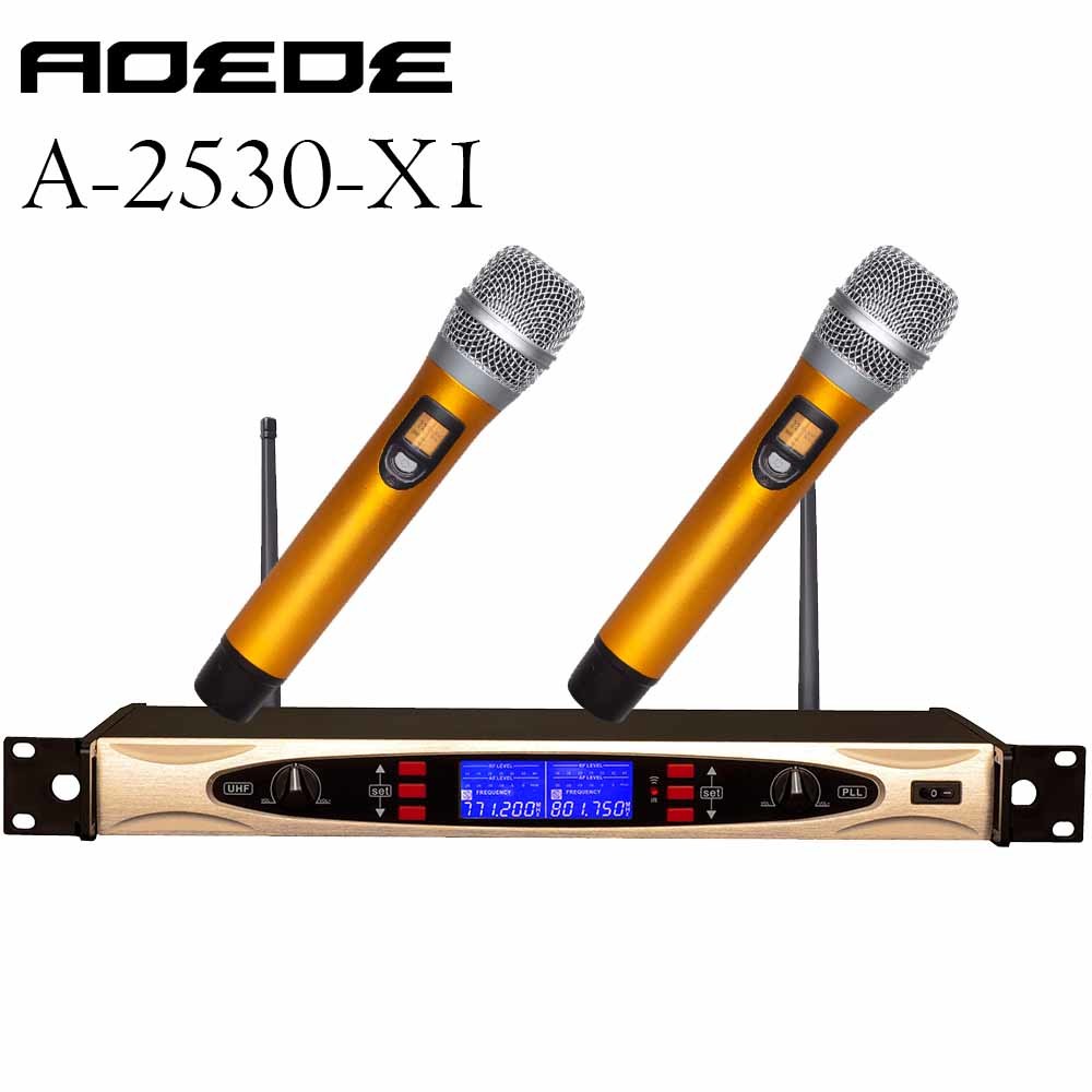 Professional Audio UHF&Pll Dual Channels Wireless Microphone