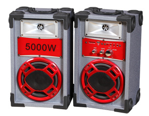 Stage Speaker P-6 Loudspeaker Bluetooth USB