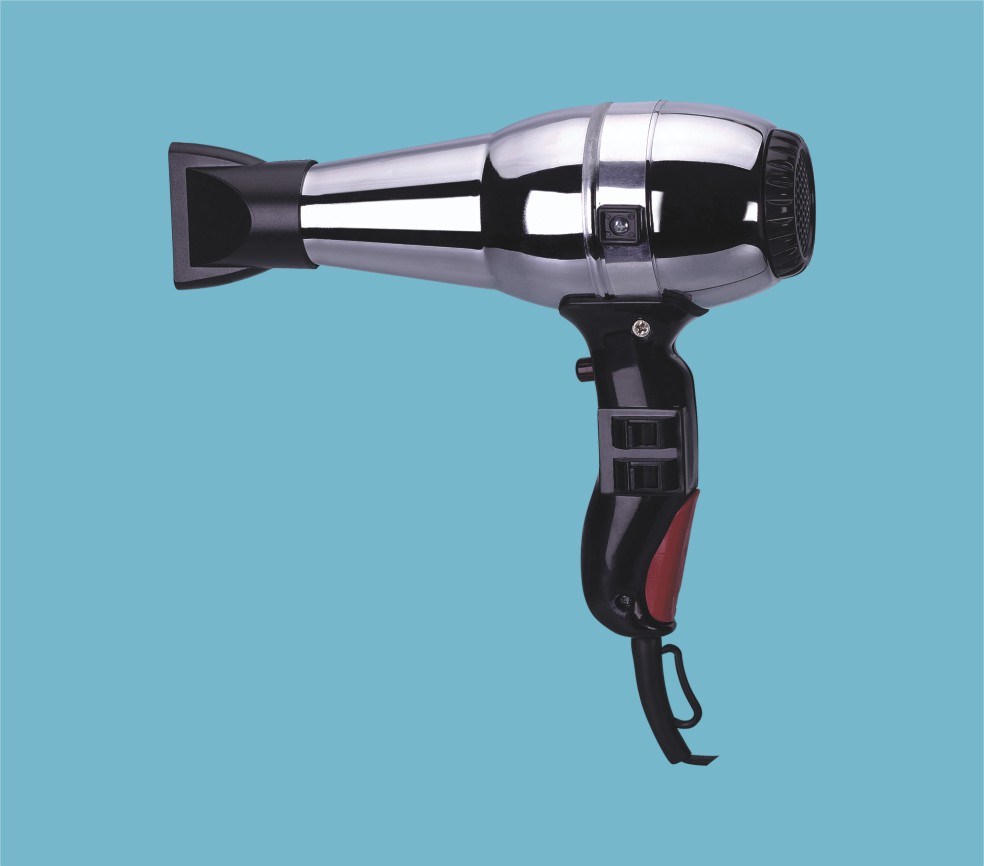 Professional Hair Dryer (RCE-1400)