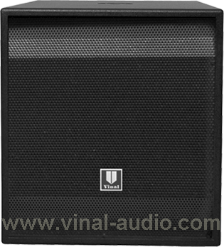 Professional Speaker (VS0508L)