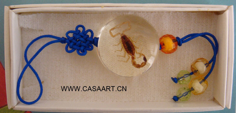 Promotional Gift-Insect Amber Mobile Chain (MCK008)