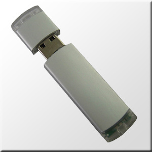 Popular Plastic USB Flash Disk / USB Flash Drive/ Pen Drive