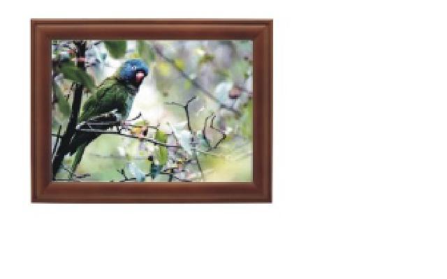 15inch Digital Photo Frame (6213)