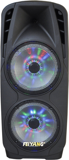 Double 10 Inch Professional Portable Trolley Speaker F73D