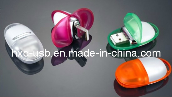 Plastic USB Flash Drive (HXQ-P049)