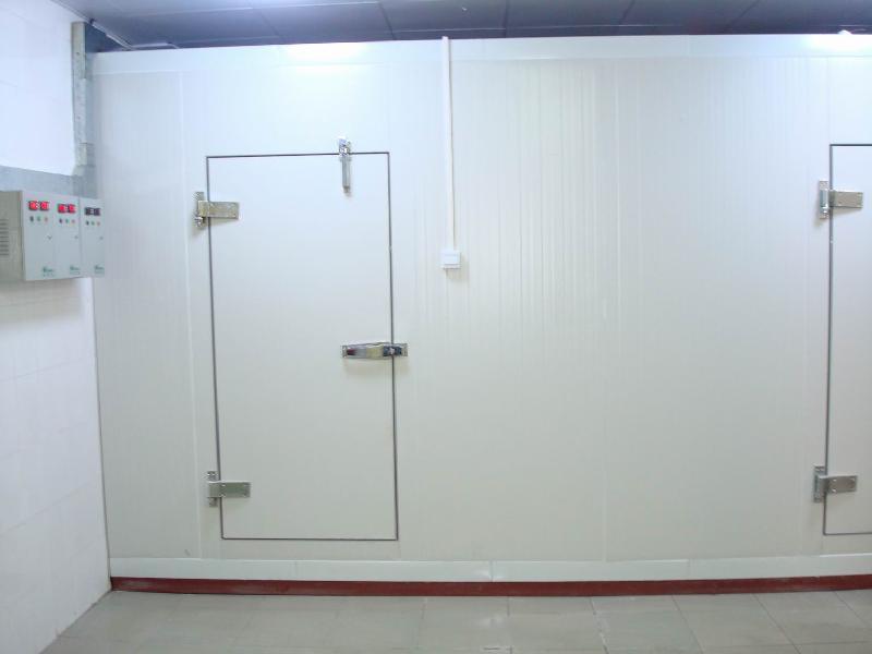 Customizing Cold Storage Freezer for Frozen Food