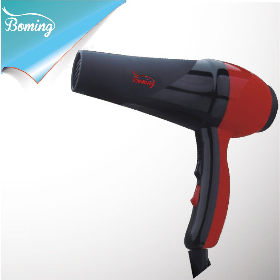 Professional Hair Dryer (1207)