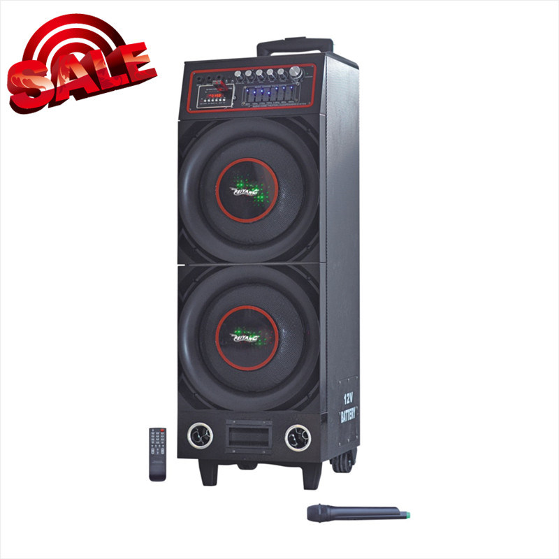 Stage Speaker Double 10