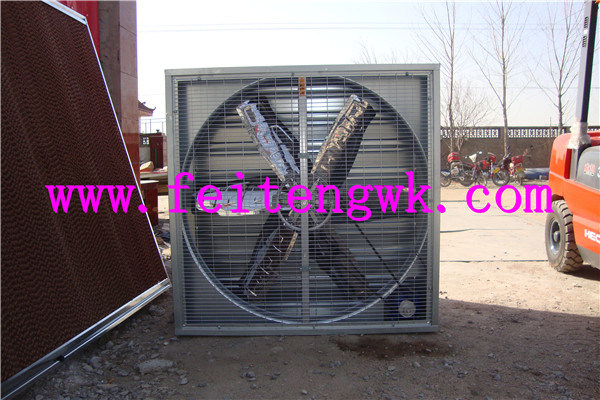 Fei -Teng Wall Mounted Centrifugal Exhaust Fan