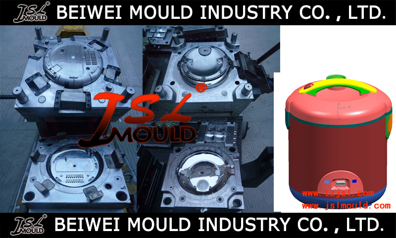 Plastic Kitchen Appliance Cooker Injection Mould