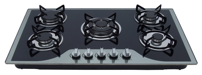 Built in Type Gas Hob with Five Burners (GH-G905E-D)