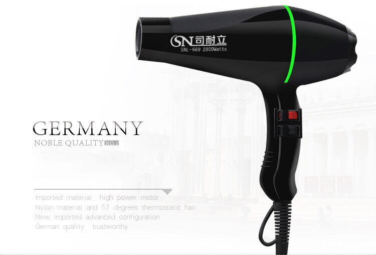 Professional Hair Dryer