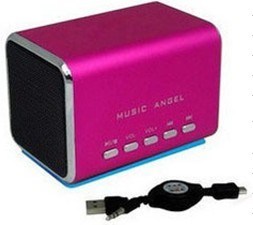 Portable Speaker (P3005) 