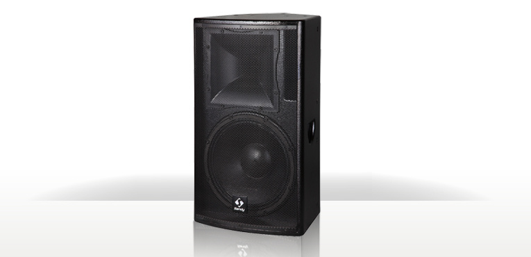 PRO Audio Two Way Speaker Fs12