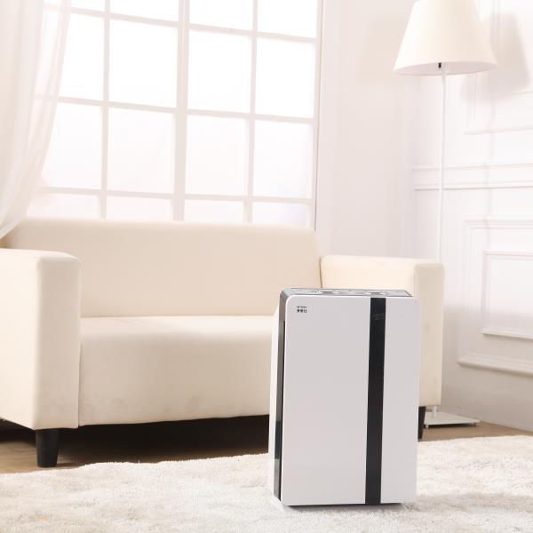 Fashion Design HEPA Air Purifier 5334e