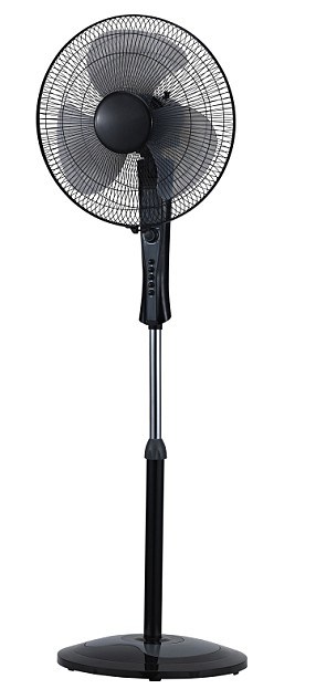 Eletric Fan