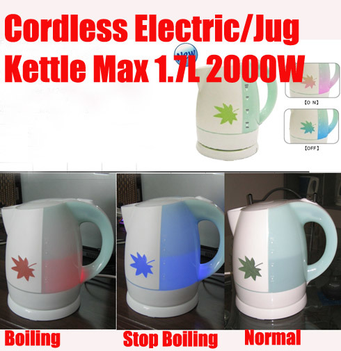 Cordless Electric Kettle