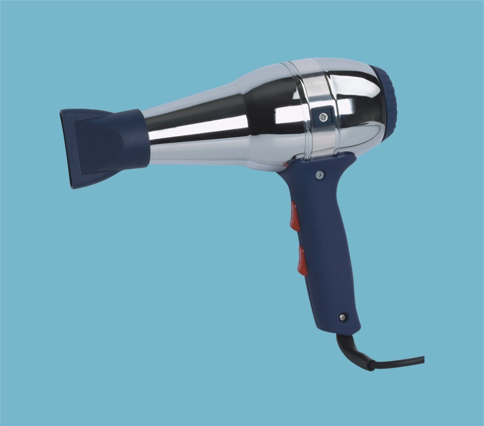 Professional Hair Dryer (RCE-1300)