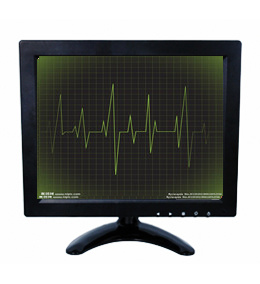 9.7 Inch TFT LED Display with IPS Panel