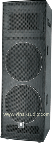 Professional Speaker (VS625)